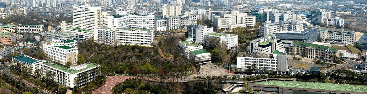 汉阳大学