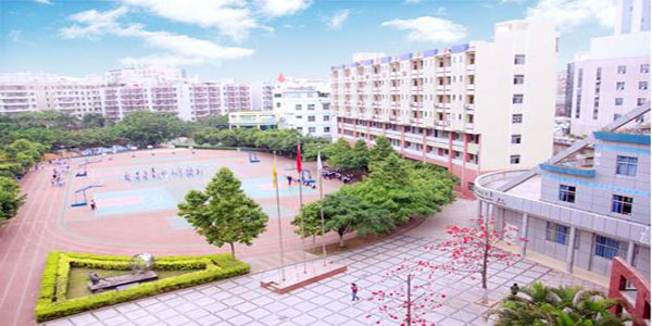 Shenzhen Zhongying Public School