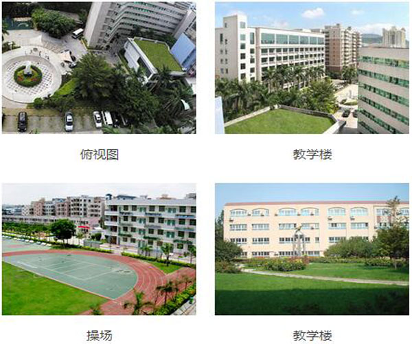 Shenzhen Seg International School